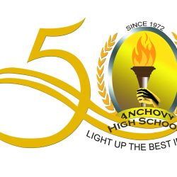 anchovy-50